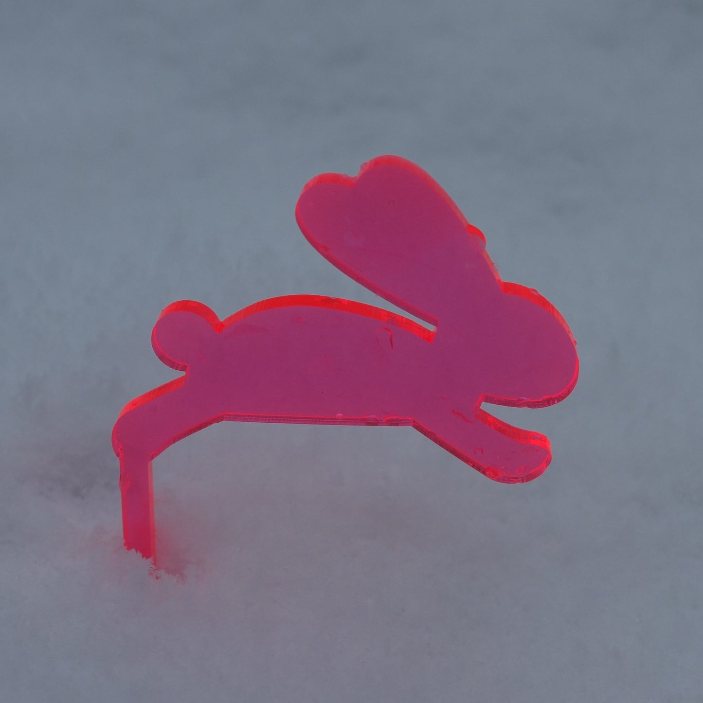 4er Set Hasen Stecker aus hochwertigem floureszierenden Acrylglas für Kuchen, Muffin oder Blumenbeet